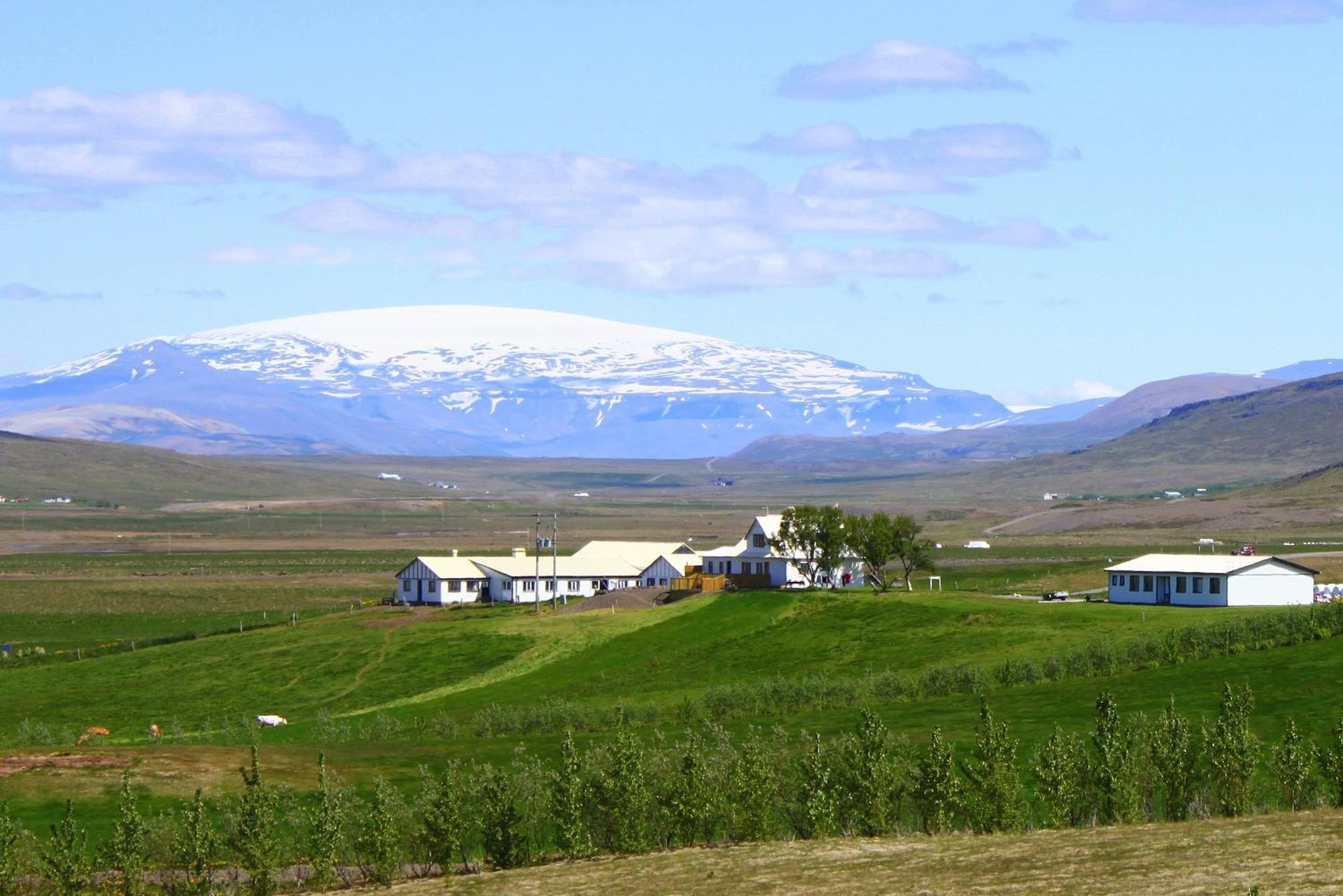 Guesthouse Steindórsstadir Reykholt  Exterior foto